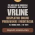 VRLINE - besplatno predavanje i meditacija (online) VRLINE - besplatno predavanje i meditacija (online)